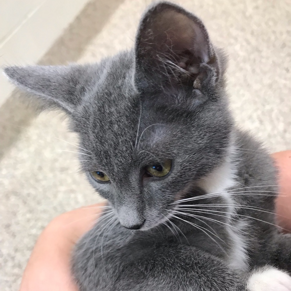 Meet your Posher, Nadia